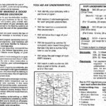 1999 Underwriting Brochure Page 2